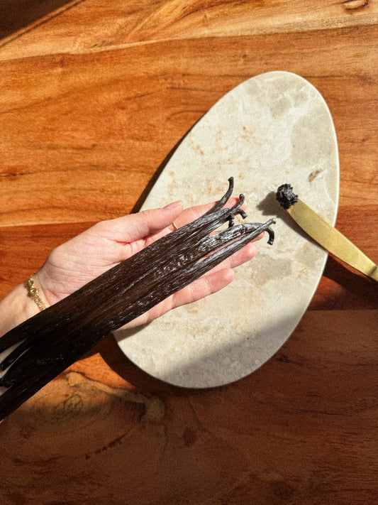 Person holding premium vanilla beans, highlighting their rich quality and natural texture.