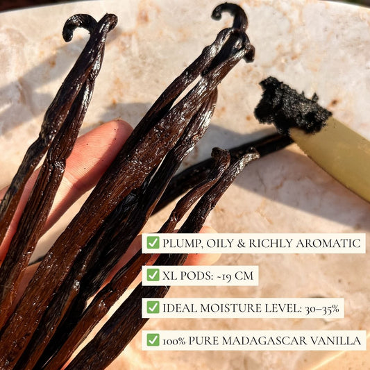 🧁 Gourmet Starter Bottle - Premium Organic Madagascar Bourbon Vanilla Beans Grade A (3 pcs / ~17g)